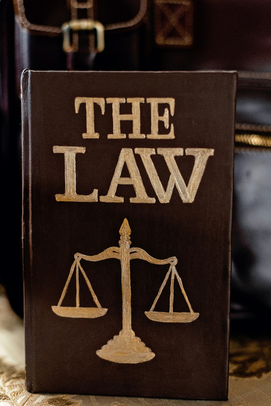 BIP Lawfirm Logo